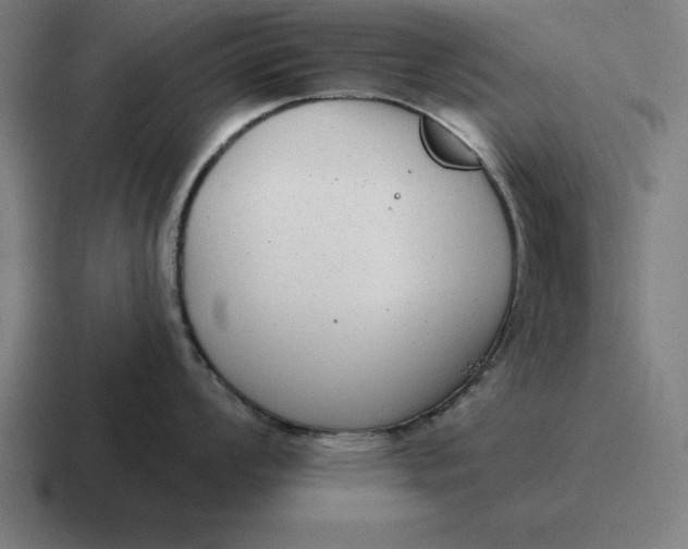 X0000116811008200912311952