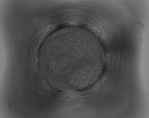 X0000116811009200912311951