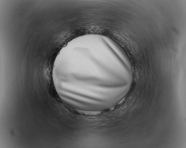 X0000116811010200912311951