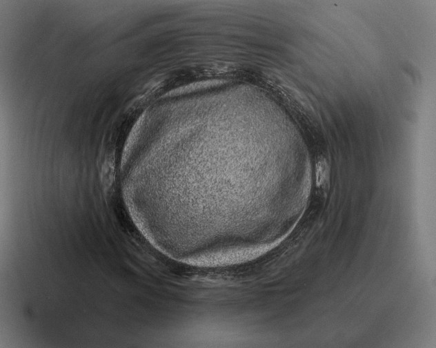 X0000116811011200912311951