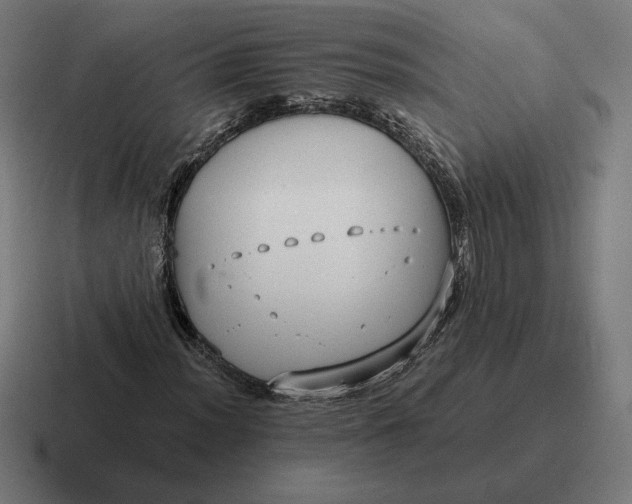 X0000116811012200912311951