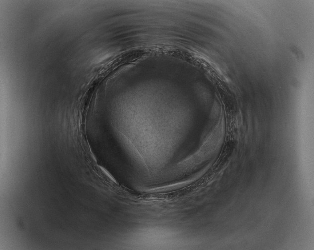 X0000116811013200912311951