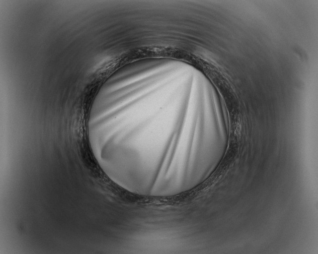 X0000116811014200912311951