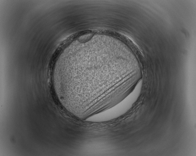 X0000116811016200912311951