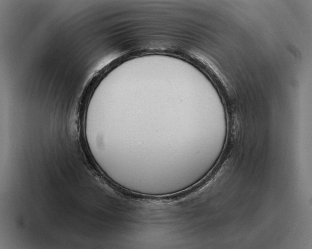 X0000116811018200912311951