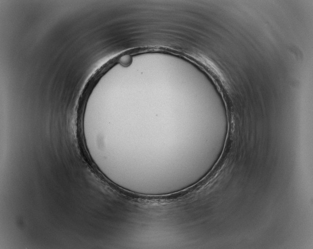 X0000116811020200912311951