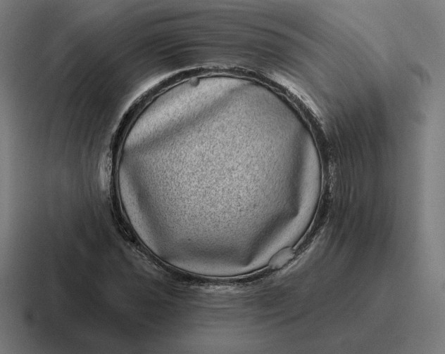 X0000116811021200912311951