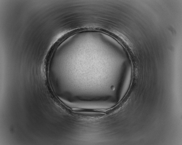 X0000116811022200912311951