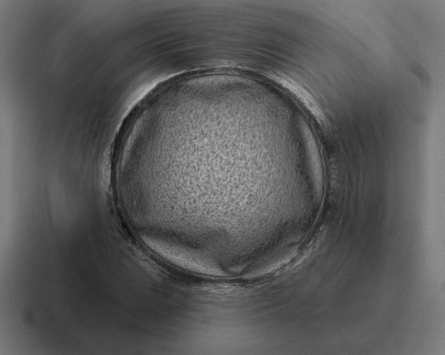 X0000116811023200912311951