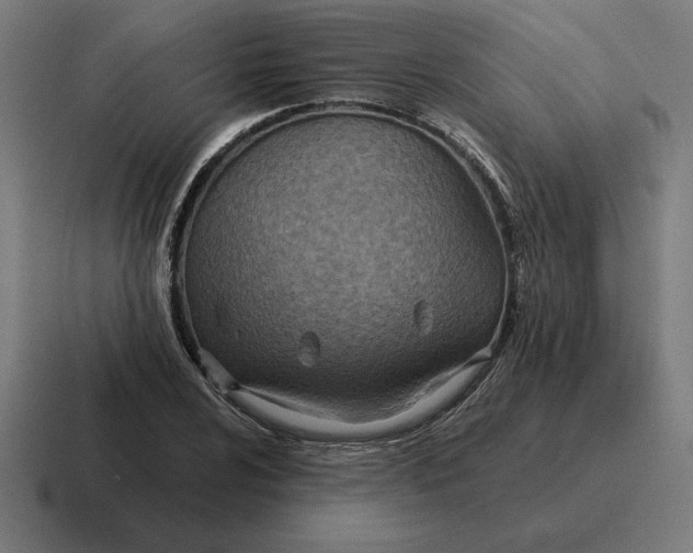 X0000116811024200912311951