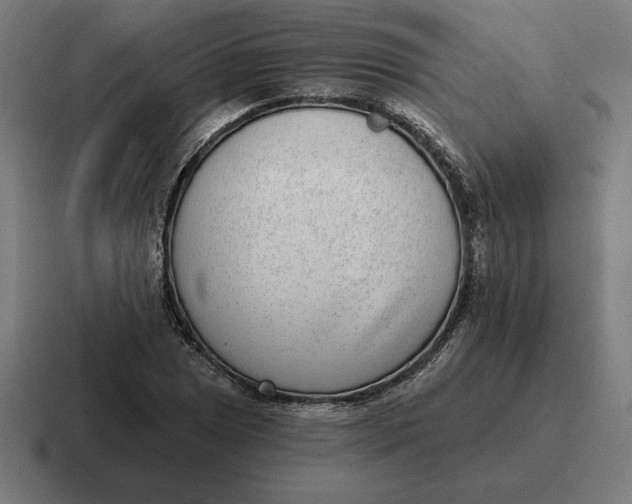 X0000116811025200912311951