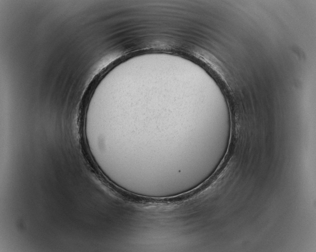 X0000116811026200912311951