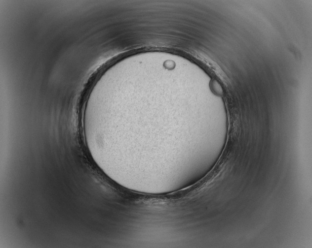 X0000116811027200912311951