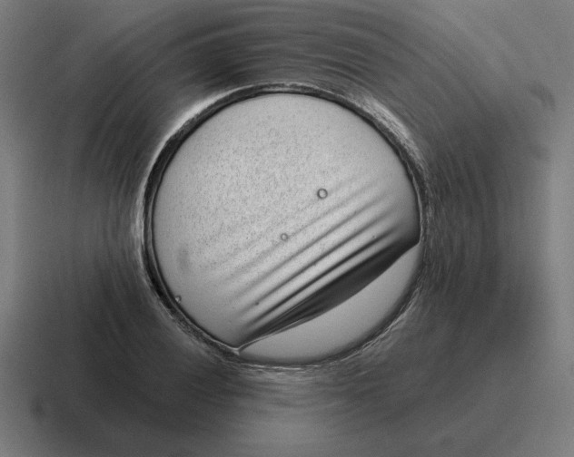 X0000116811028200912311951