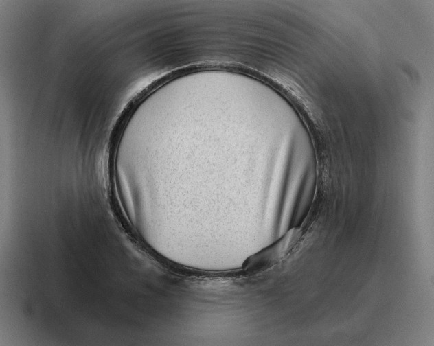 X0000116811030200912311951