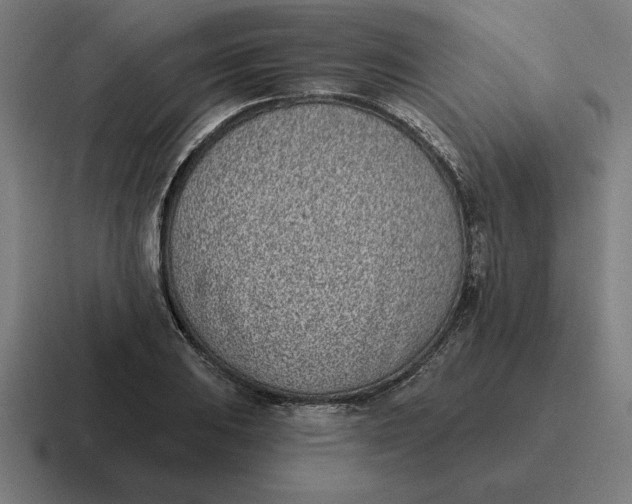 X0000116811031200912311951