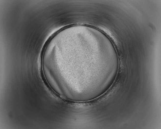 X0000116811032200912311951