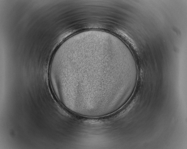 X0000116811033200912311951