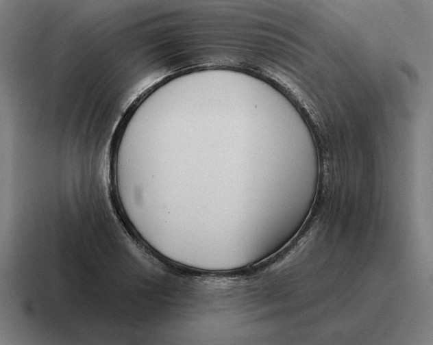 X0000116811034200912311951