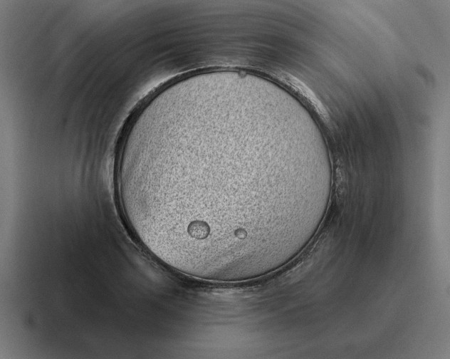 X0000116811035200912311951