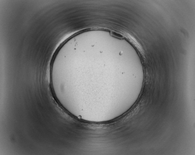 X0000116811036200912311951