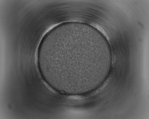 X0000116811037200912311952