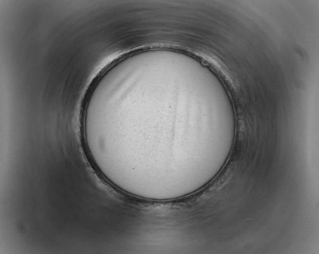 X0000116811038200912311952