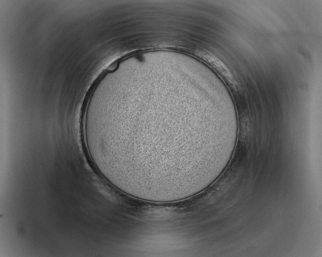 X0000116811039200912311952