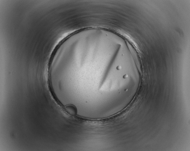 X0000116811040200912311952