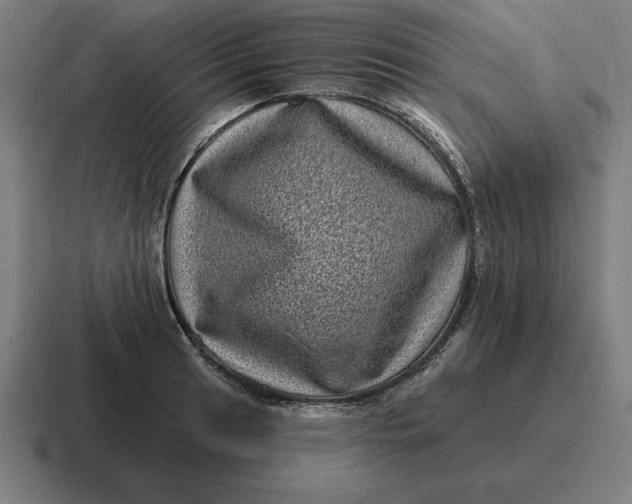 X0000116811041200912311952