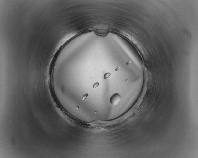 X0000116811042200912311952