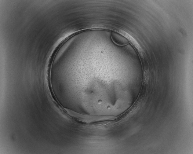 X0000116811043200912311952