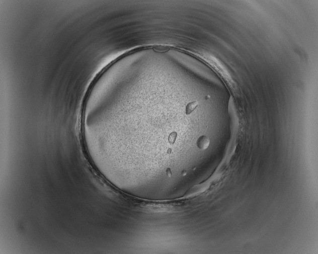 X0000116811044200912311952