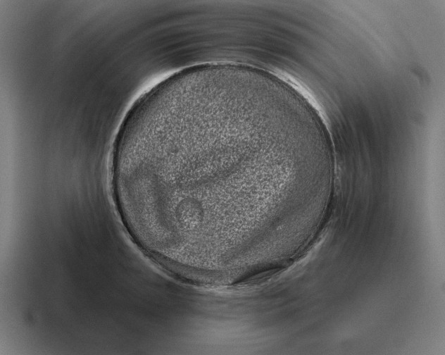 X0000116811045200912311952