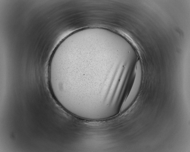 X0000116811048200912311952