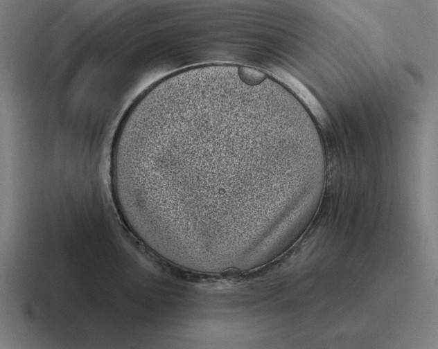 X0000116811051200912311952