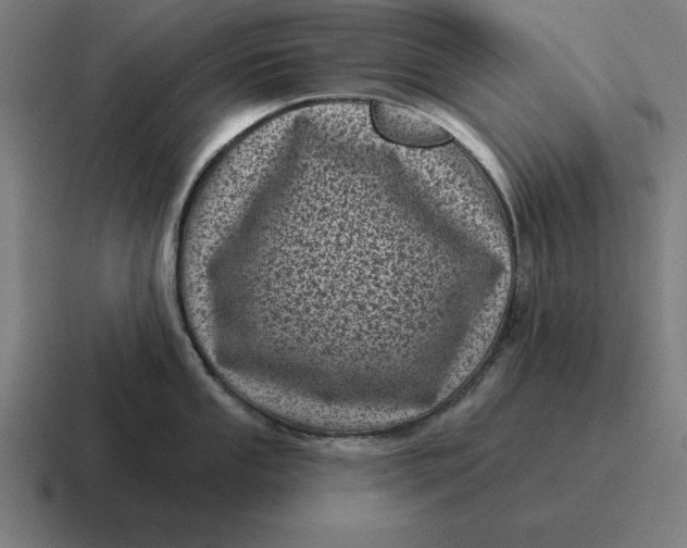 X0000116811053200912311952