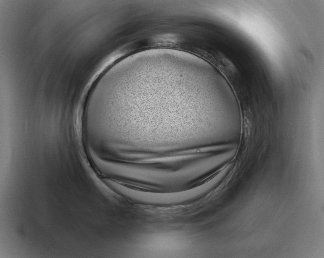 X0000116811054200912311952