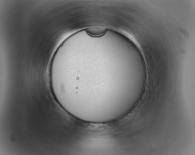 X0000116811056200912311952