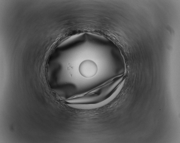 X0000116811057200912311951