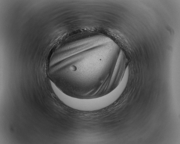 X0000116811060200912311951