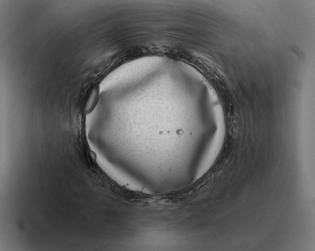 X0000116811061200912311951