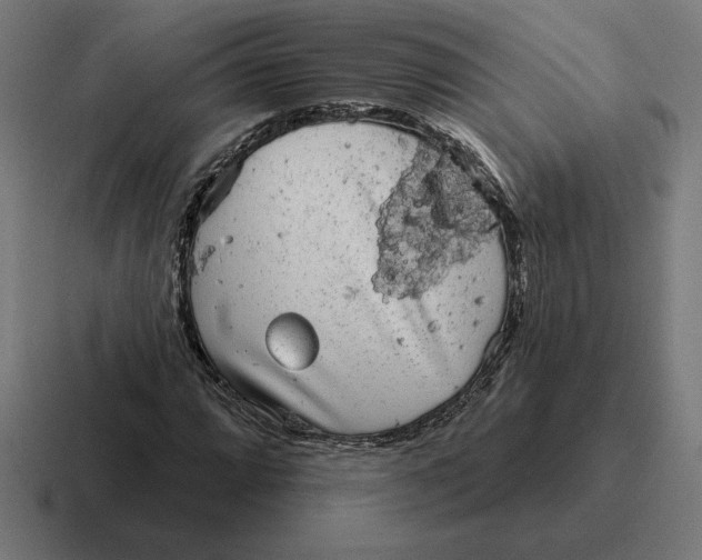 X0000116811064200912311951