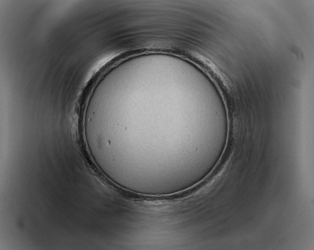 X0000116811066200912311951