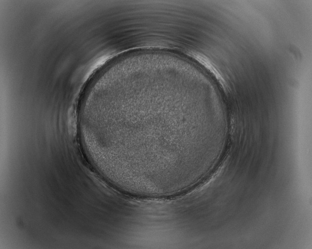 X0000116811067200912311951