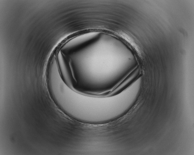 X0000116811068200912311951