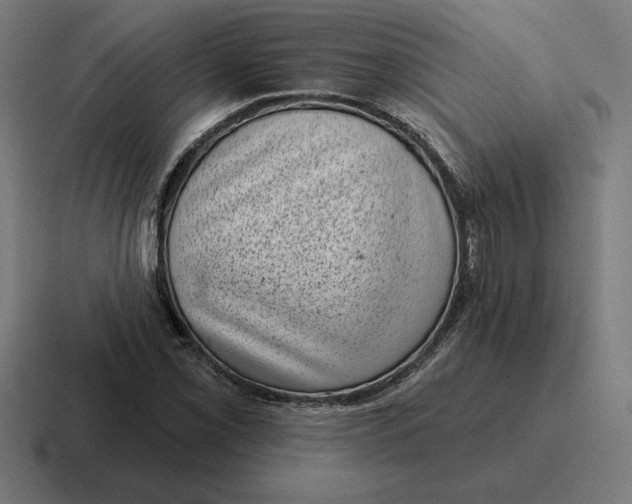 X0000116811069200912311951