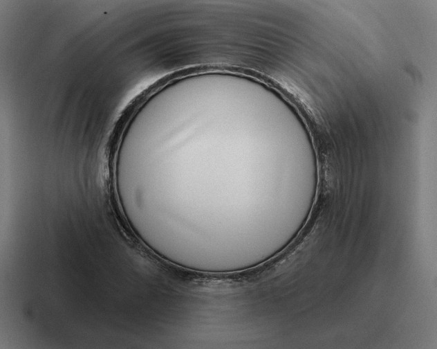 X0000116811070200912311951