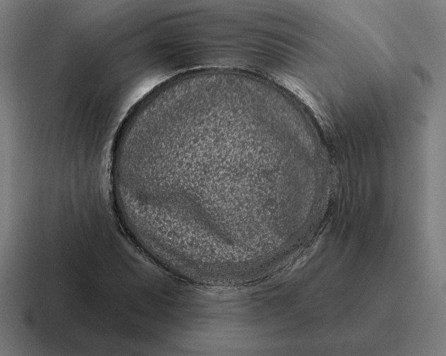 X0000116811071200912311951