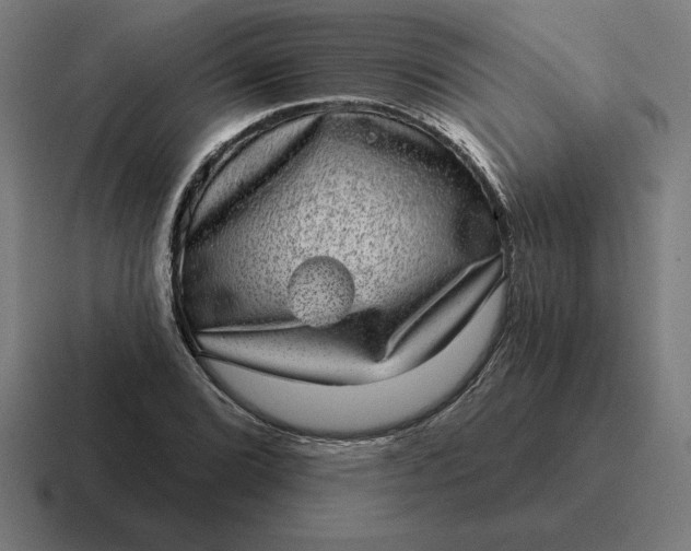 X0000116811072200912311951